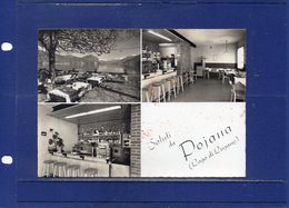 ##(DAN192)-Pojana-(Riva San Vitale-Mendrisio)-Saluti Da Pojana, Restaurant Bar Terminus-usata 1964 Da Brusino Arsizio - TI Ticino