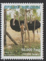 Madagascar Madagaskar 2004 Mi.2626  Faune De Morondova Autruche Lémurien Lemur Ostrich Bird Oiseau Vogel Fauna MNH ** - Madagascar (1960-...)