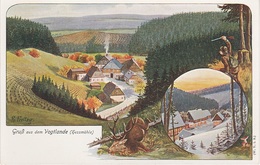 Litho AK Gruß Hessmühle Vogtland A Morgenröthe Rautenkranz Tannenbergsthal Muldenhammer Carlsfeld Gottesberg Klingenthal - Eibenstock