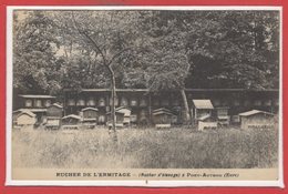 METIERS - APICULTEUR -- Rucher De L'Ermitage ( Rucher D'élevage ) à Pont  Authou - Andere & Zonder Classificatie