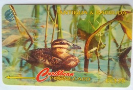 104CATD Masked Duck EC$20   Slash C/n - Antigua And Barbuda