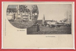 METIERS - APICULTEUR -- La Grande Trappe - Le Rucher - Le Troupeau - Other & Unclassified