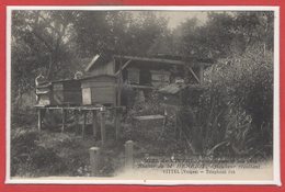 METIERS - APICULTEUR -- Miel De VITTEL , Marque Déposé ( 9 Juin 1926) Rucher De M. Henriot - Autres & Non Classés