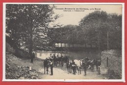 BRASSEIE - BIERE -- Grande Brasserie De Kérinou , Près Brest - Chevaux à L'Abreuvoir - Publicité