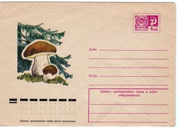 Enveloppe Entier Postal De Russie Champignon Cèpe Champignons Mushroom Setas Pilze - Mushrooms