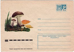 Enveloppe Entier Postal De Russie Champignon Bolet Rude Champignons Mushroom Setas Pilze - Funghi