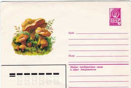 Enveloppe Entier Postal De Russie Champignon Girolle Champignons Mushroom Setas Pilze - Funghi