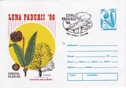 Enveloppe Entier Postal De Roumanie Champignon Champignons Mushroom Setas Pilze - Funghi