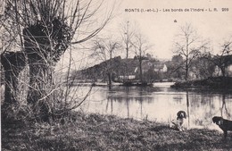 (37) MONTS . Les Bords De L'Indre - Autres & Non Classés