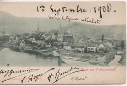 GRUSS AUS NECKARGEMUND  EN 1900 - Neckargemuend