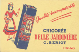 BU 1609-/  BUVARD    CHICOREE    BELLE JARDIIERE C. BERIOT LILLE - Café & Thé
