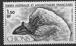 TAAF French Southern And Antarctic Territories  1981 "Chionis Albus" - Albatros