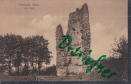 OSTERODE Am Harz, Alte Burg, Um 1924 - Osterode