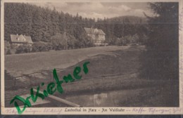 Lautenthal Im Harz, Am Waldkater, Um 1924 - Langelsheim