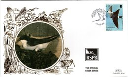 ASCENSION  ISLAND,   BENHAM  FDC,  Bird     /    Lettre De Première Jour,  Oiseau    1998 - Hirondelles