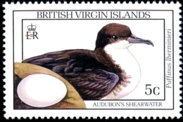 MARINE BIRDS- AUDUBONŚ SHEARWATER  WITH EGGS - Br. VIRGIN ISLANDS-1990 -MNH- SCARCE- B6-984 - Albatros