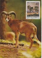 Yougoslavie Carte Maximum Animaux 1987 Mouflon 2086 - Cartes-maximum