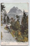 Gimmelwald Bei Mürren Aussicht Auf Die Jungfrau - Paysage Alpestre Et La Jungfrau - Wald