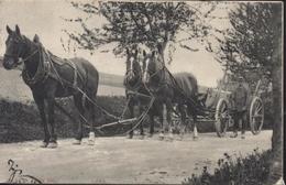 Hongrie CPA ESD E.S.D. Attelage 3 Chevaux CAD Budapest 1902 Pour Beaufort St Gervanne 4 Mai 1902 - Ungarn