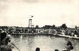 CHER AUBIGNY Sur NERE  ( Cpsm)  La Piscine PLONGEON - Aubigny Sur Nere