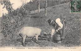 Périgueux         24        Deux Périgords Cherchant La Truffe   . Porc  Voir Scan) - Périgueux