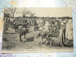 Le Marché Arabe - Chlef (Orléansville)