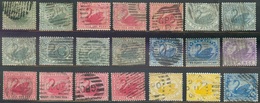 Australie Occid, WA, Fil. "couronne CA" Couché & "W Couronne A" - Black Swan Cygne - Used Stamps