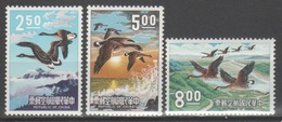 Taiwan 1969 - Uccelli P.a.            (g5460) - Corréo Aéreo