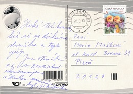 N0591 - Czech Rep. (2013) 390 10 Tabor 02 (machine Postmark); (postcard: Easter); Tariff: "A" (10,00 CZK) Stamp: Easter - Covers & Documents