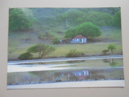 GUADELOUPE ILE DE SAINT BARTHELEMY EN ALLANT A SALINE CETTE CASE LEGENDAIRE A L'OMBRE DE SON ARBRE ET DEVANT SES MARAIS - Saint Barthelemy