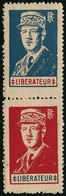 ** De Gaulle  Mayer 5 Et 6 Paire Verticale De Lyon - TB - Liberation