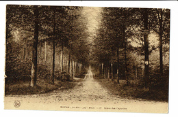 CPA - Carte Postale Belgique -Notre Dame Au Bois (Jesus Eik)- Drève Des Capucines-  VM282 - Overijse