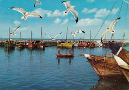 VINTAGE KUWAIT POSTCARD - HARBOUR OF PEARL FISHERS FLEET CIRCULATED 1977 - Kuwait