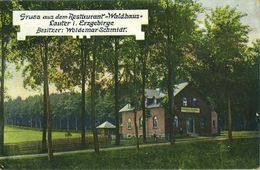 LAUTER I. Erzgebirge, Restaurant Waldhaus, Besitzer Woldemar Schmidt (1913) AK - Bernsbach