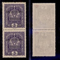 OCCUPAZIONI - TRENTINO - 1918 - 3 Heller (1 - Varietà) - Coppia Verticale Con Soprastampa In Basso - Pezzo Superiore Con - Autres & Non Classés