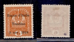 OCCUPAZIONI - TRENTINO - 1918 - 6 Heller (3) - Gomma Originale (160) - Other & Unclassified