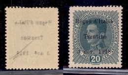 OCCUPAZIONI - TRENTINO - 1918 - 20 Heller (7 Varietà) - Leggero Decalco - Gomma Originale - Non Catalogato - Other & Unclassified