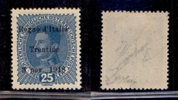 OCCUPAZIONI - TRENTINO - 1918 - 25 Heller (8) - Gomma Originale - Oliva (90) - Andere & Zonder Classificatie