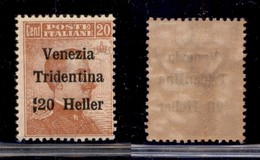 OCCUPAZIONI - TRENTINO - 1918 - 20 Heller Su 20 (30 Varietà) - Spazio Tipografico A Sinistra Della Cifra - Gomma Integra - Andere & Zonder Classificatie