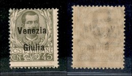 OCCUPAZIONI - VENEZIA GIULIA - 1918 - 45 Cent (26) - Gomma Integra - Other & Unclassified