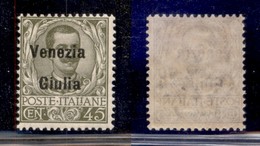 OCCUPAZIONI - VENEZIA GIULIA - 1918 - 45 Cent (26) - Gomma Integra (150) - Other & Unclassified