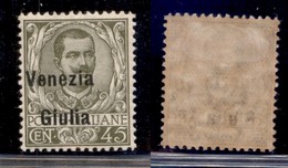 OCCUPAZIONI - VENEZIA GIULIA - 1918 - 45 Cent (26eafc) Con Soprastampa A Sinistra - Gomma Originale (200) - Sonstige & Ohne Zuordnung