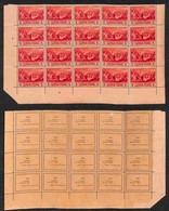 OCCUPAZIONI - MONTENEGRO - 1943 - 5 Lire Serto Della Montagna (68) - Blocco Angolare Di 20 - Gomma Integra (600) - Other & Unclassified