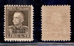 COLONIE - SOMALIA - 1928 - 1,75 Lire (118) - Gomma Integra (450) - Autres & Non Classés