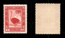 COLONIE - SOMALIA - 1932 - 5 Lire Pittorica (181) - Gomma Integra (225) - Other & Unclassified