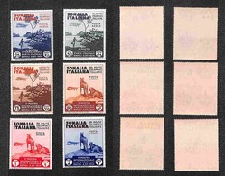 COLONIE - SOMALIA - 1934 - Arte Coloniale (1/6 - Aerea) - Serie Completa - Gomma Integra (125) - Other & Unclassified