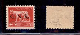 REPUBBLICA SOCIALE - GNR VERONA - 1944 - 5 Lire (485) - Gomma Integra - Ben Centrato - Chiavarello - Andere & Zonder Classificatie