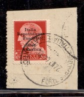 LOCALI - BASE ATLANTICA - 1943 - 20 Cent (8) Usato Su Frammento (300+) - Other & Unclassified