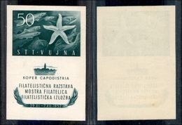 AMGVG - TRIESTE - LITORALE - TRIESTE B - 1952 - Foglietti Mostra Filatelica (3) - Gomma Integra (120) - Andere & Zonder Classificatie
