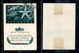 AMGVG - TRIESTE - LITORALE - TRIESTE B - 1952 - Foglietti - Mostra Filatelica (3) Usato (120) - Sonstige & Ohne Zuordnung